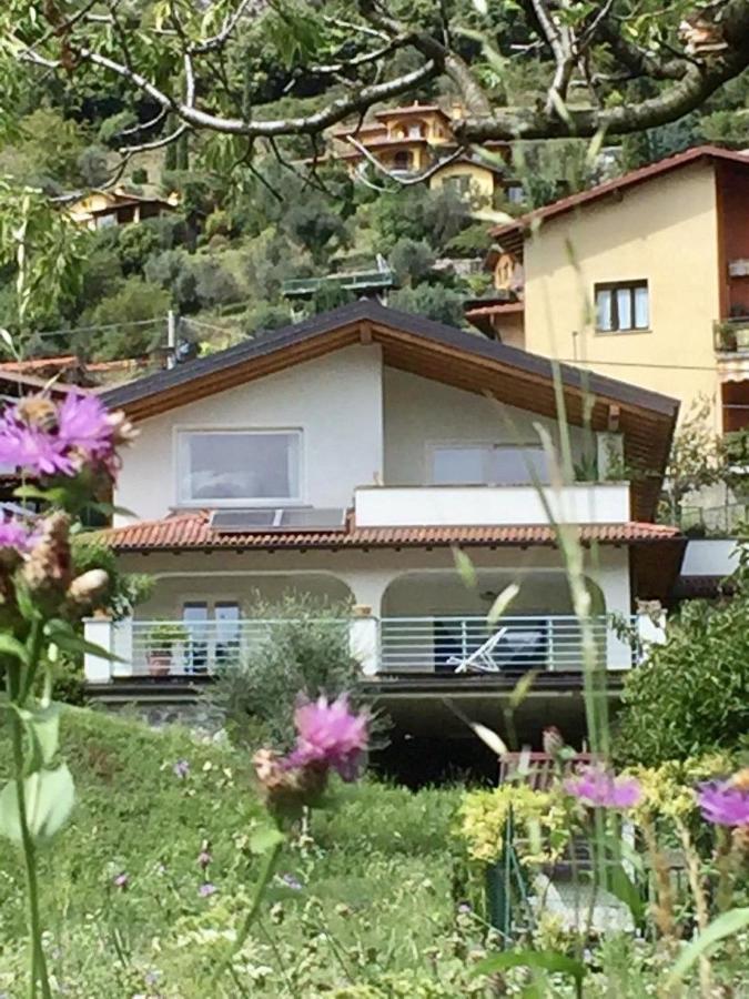 Villa 3 Olivi - Lenno By Lovecomo المظهر الخارجي الصورة
